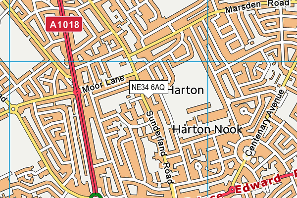 NE34 6AQ map - OS VectorMap District (Ordnance Survey) NE34 6AQ map - OS VectorMap District (Ordnance Survey)