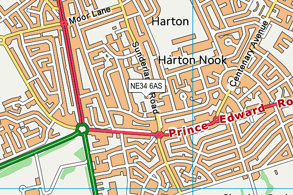NE34 6AS map - OS VectorMap District (Ordnance Survey) NE34 6AS map - OS VectorMap District (Ordnance Survey)