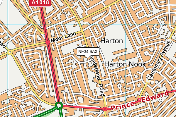 NE34 6AX map - OS VectorMap District (Ordnance Survey) NE34 6AX map - OS VectorMap District (Ordnance Survey)