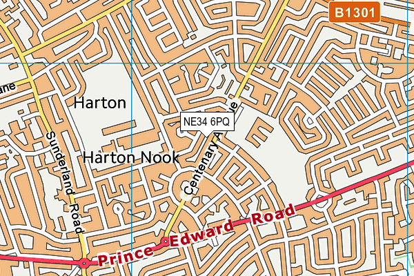 NE34 6PQ map - OS VectorMap District (Ordnance Survey) NE34 6PQ map - OS VectorMap District (Ordnance Survey)