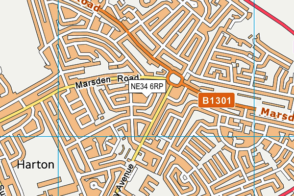 NE34 6RP map - OS VectorMap District (Ordnance Survey) NE34 6RP map - OS VectorMap District (Ordnance Survey)
