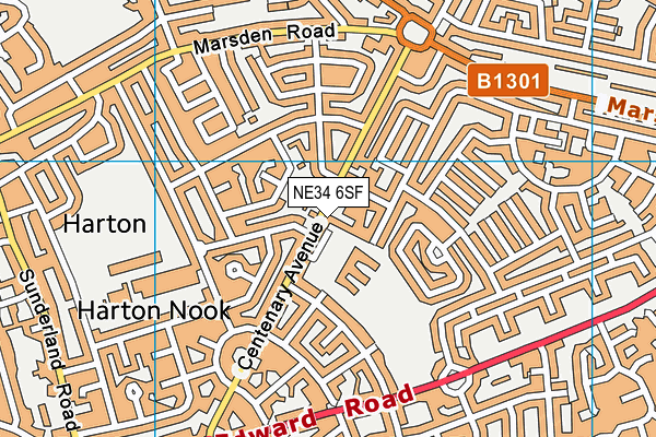 NE34 6SF map - OS VectorMap District (Ordnance Survey) NE34 6SF map - OS VectorMap District (Ordnance Survey)