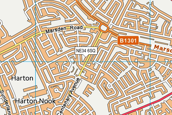 NE34 6SQ map - OS VectorMap District (Ordnance Survey) NE34 6SQ map - OS VectorMap District (Ordnance Survey)