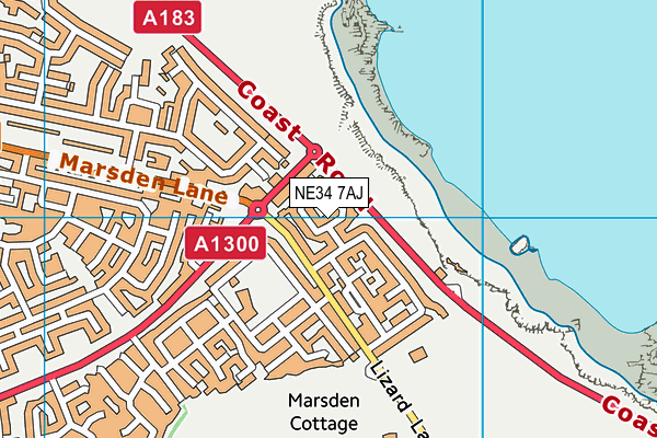 NE34 7AJ map - OS VectorMap District (Ordnance Survey) NE34 7AJ map - OS VectorMap District (Ordnance Survey)