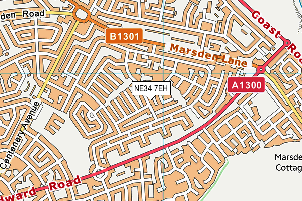 NE34 7EH map - OS VectorMap District (Ordnance Survey) NE34 7EH map - OS VectorMap District (Ordnance Survey)