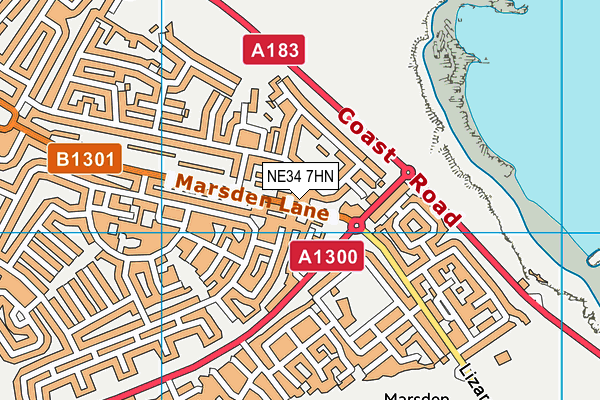 NE34 7HN map - OS VectorMap District (Ordnance Survey) NE34 7HN map - OS VectorMap District (Ordnance Survey)