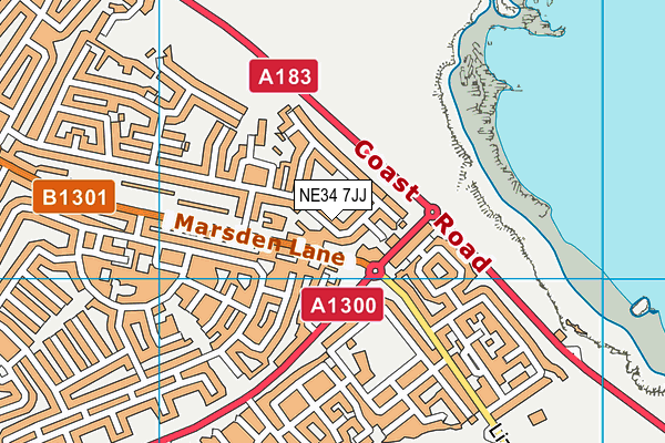 NE34 7JJ map - OS VectorMap District (Ordnance Survey) NE34 7JJ map - OS VectorMap District (Ordnance Survey)