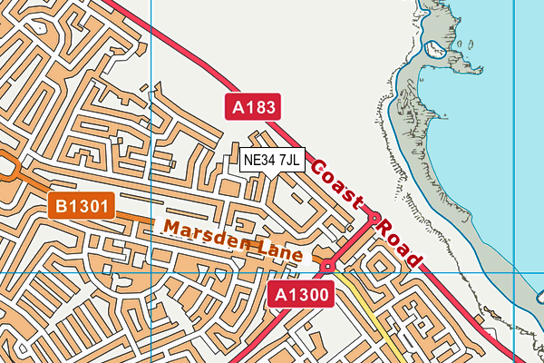 NE34 7JL map - OS VectorMap District (Ordnance Survey) NE34 7JL map - OS VectorMap District (Ordnance Survey)