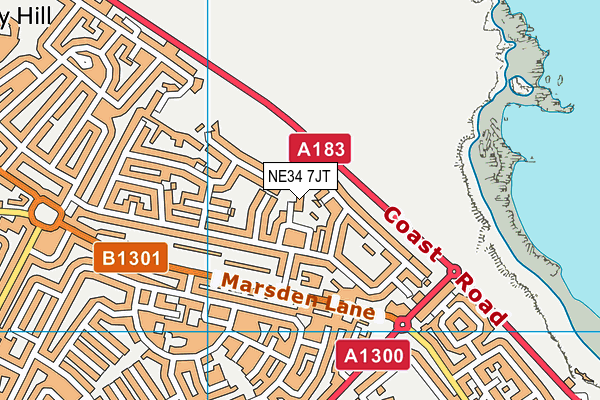 NE34 7JT map - OS VectorMap District (Ordnance Survey) NE34 7JT map - OS VectorMap District (Ordnance Survey)