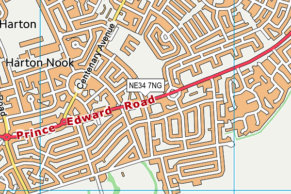NE34 7NG map - OS VectorMap District (Ordnance Survey) NE34 7NG map - OS VectorMap District (Ordnance Survey)