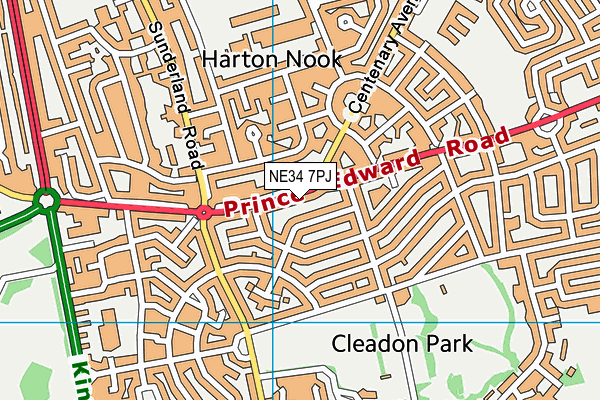 NE34 7PJ map - OS VectorMap District (Ordnance Survey) NE34 7PJ map - OS VectorMap District (Ordnance Survey)