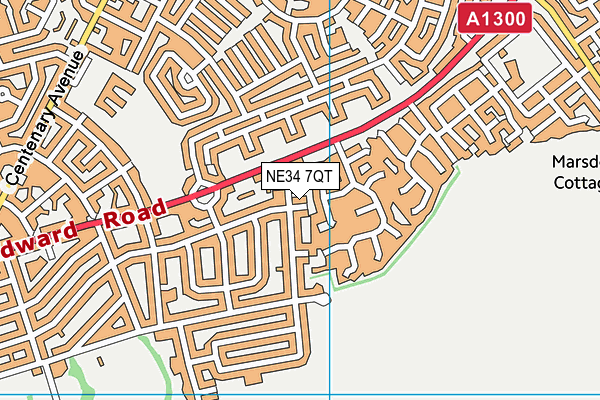 NE34 7QT map - OS VectorMap District (Ordnance Survey) NE34 7QT map - OS VectorMap District (Ordnance Survey)
