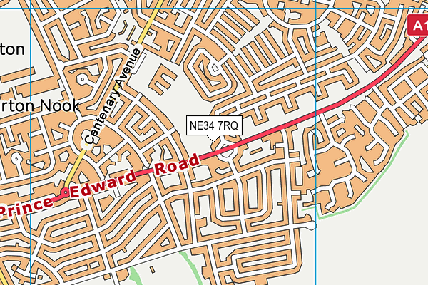 NE34 7RQ map - OS VectorMap District (Ordnance Survey) NE34 7RQ map - OS VectorMap District (Ordnance Survey)