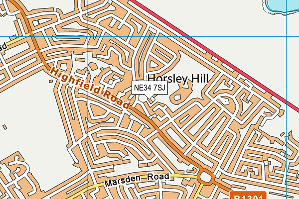 NE34 7SJ map - OS VectorMap District (Ordnance Survey) NE34 7SJ map - OS VectorMap District (Ordnance Survey)