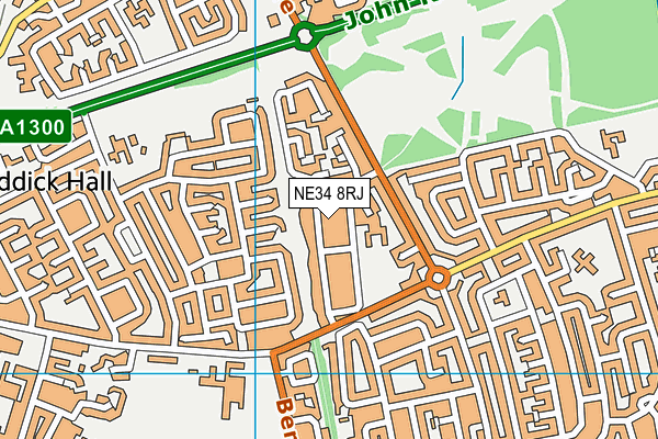NE34 8RJ map - OS VectorMap District (Ordnance Survey) NE34 8RJ map - OS VectorMap District (Ordnance Survey)