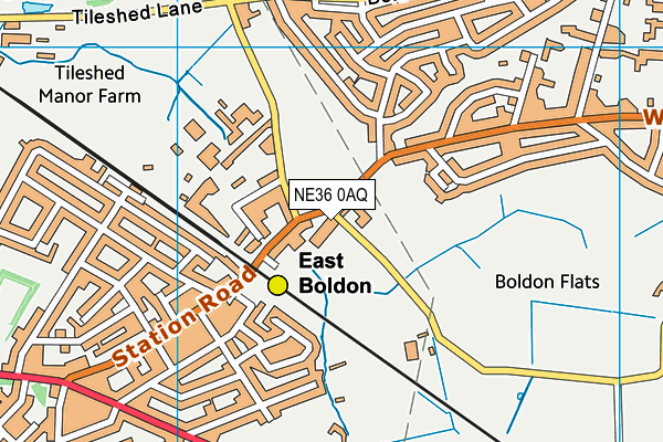 NE36 0AQ map - OS VectorMap District (Ordnance Survey) NE36 0AQ map - OS VectorMap District (Ordnance Survey)