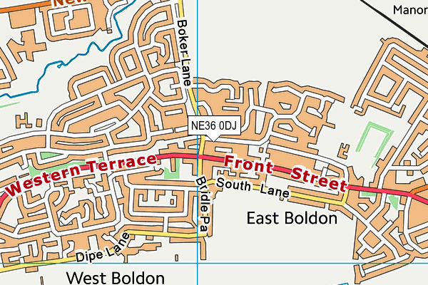 NE36 0DJ map - OS VectorMap District (Ordnance Survey)