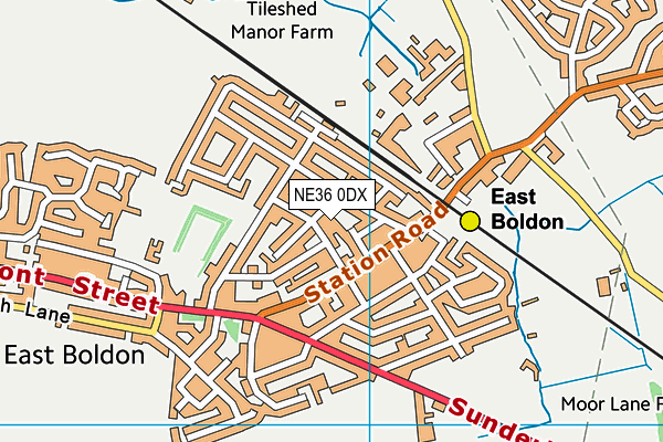 NE36 0DX map - OS VectorMap District (Ordnance Survey) NE36 0DX map - OS VectorMap District (Ordnance Survey)