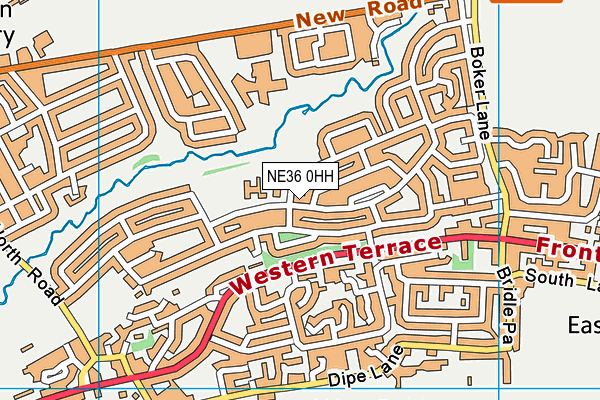 NE36 0HH map - OS VectorMap District (Ordnance Survey) NE36 0HH map - OS VectorMap District (Ordnance Survey)