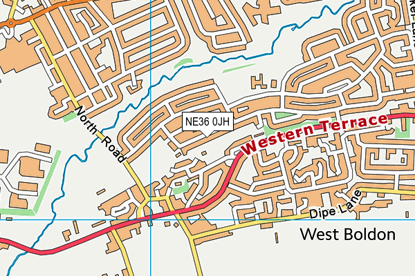 NE36 0JH map - OS VectorMap District (Ordnance Survey) NE36 0JH map - OS VectorMap District (Ordnance Survey)