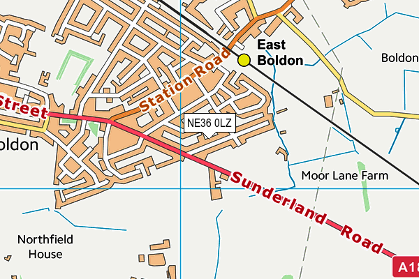 NE36 0LZ map - OS VectorMap District (Ordnance Survey)