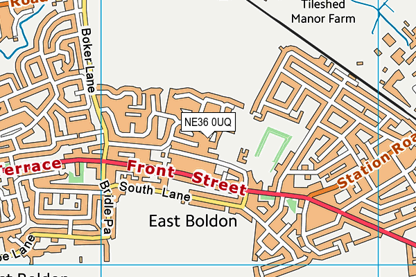NE36 0UQ map - OS VectorMap District (Ordnance Survey)