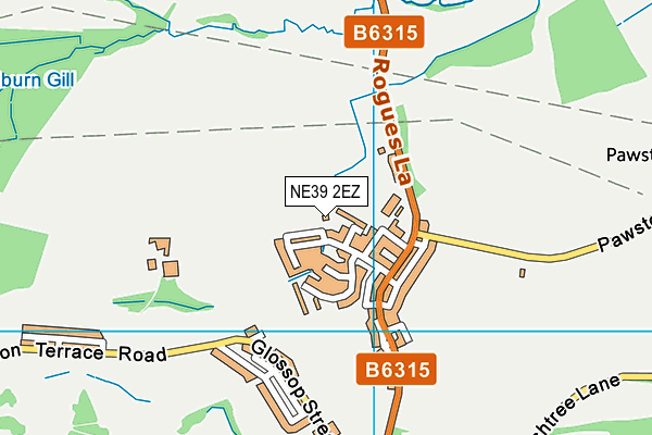 NE39 2EZ map - OS VectorMap District (Ordnance Survey) NE39 2EZ map - OS VectorMap District (Ordnance Survey)