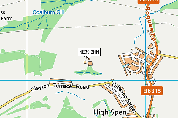 NE39 2HN map - OS VectorMap District (Ordnance Survey) NE39 2HN map - OS VectorMap District (Ordnance Survey)