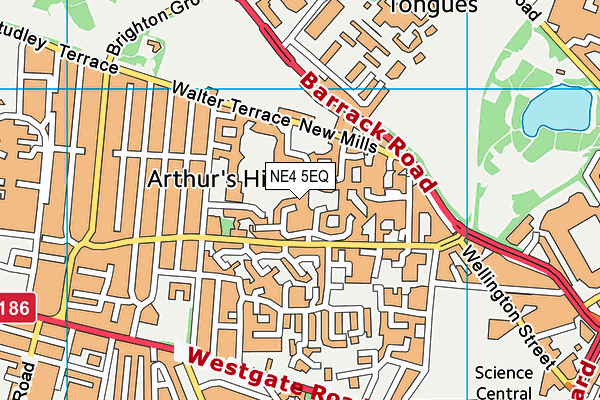 NE4 5EQ map - OS VectorMap District (Ordnance Survey) NE4 5EQ map - OS VectorMap District (Ordnance Survey)