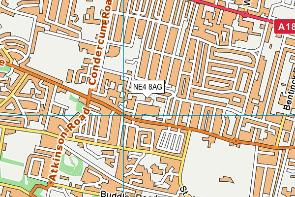NE4 8AG map - OS VectorMap District (Ordnance Survey) NE4 8AG map - OS VectorMap District (Ordnance Survey)