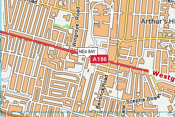 NE4 8AY map - OS VectorMap District (Ordnance Survey) NE4 8AY map - OS VectorMap District (Ordnance Survey)