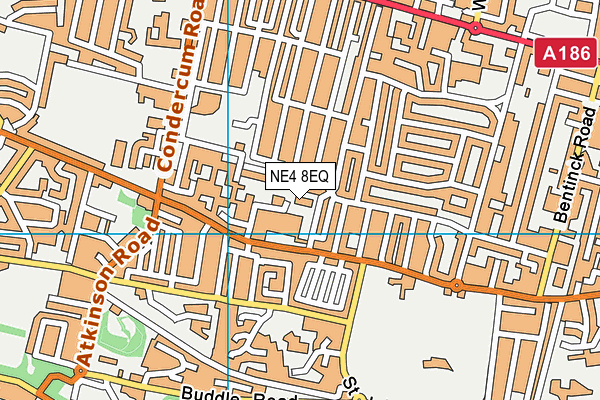 NE4 8EQ map - OS VectorMap District (Ordnance Survey) NE4 8EQ map - OS VectorMap District (Ordnance Survey)