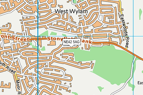 NE42 5AG map - OS VectorMap District (Ordnance Survey) NE42 5AG map - OS VectorMap District (Ordnance Survey)
