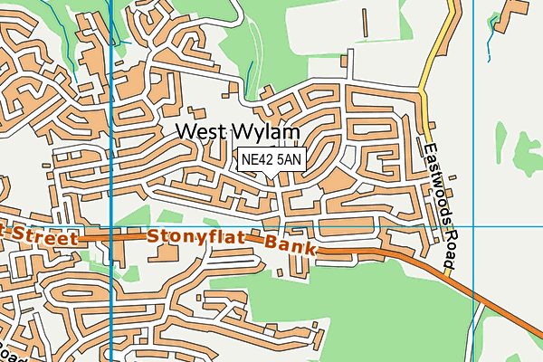 NE42 5AN map - OS VectorMap District (Ordnance Survey) NE42 5AN map - OS VectorMap District (Ordnance Survey)