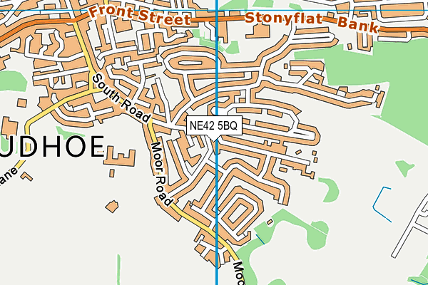 NE42 5BQ map - OS VectorMap District (Ordnance Survey) NE42 5BQ map - OS VectorMap District (Ordnance Survey)