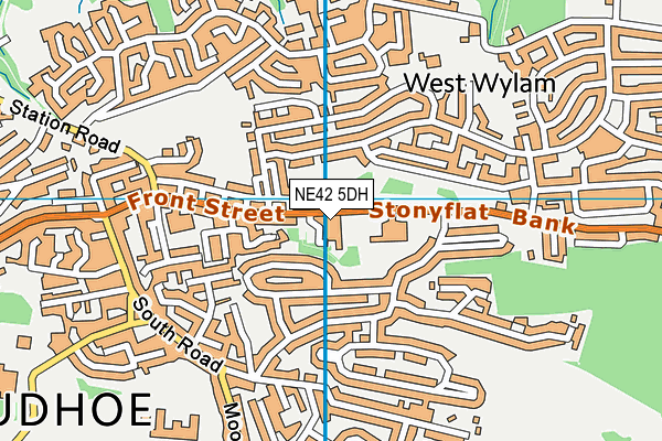 NE42 5DH map - OS VectorMap District (Ordnance Survey) NE42 5DH map - OS VectorMap District (Ordnance Survey)