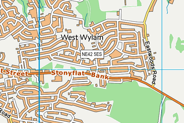 NE42 5ES map - OS VectorMap District (Ordnance Survey) NE42 5ES map - OS VectorMap District (Ordnance Survey)
