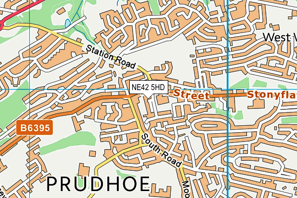 NE42 5HD map - OS VectorMap District (Ordnance Survey) NE42 5HD map - OS VectorMap District (Ordnance Survey)