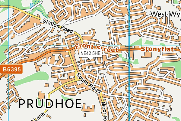 NE42 5HE map - OS VectorMap District (Ordnance Survey) NE42 5HE map - OS VectorMap District (Ordnance Survey)