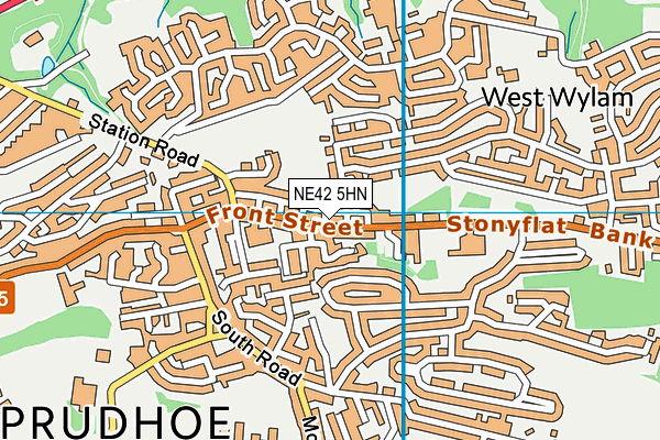 NE42 5HN map - OS VectorMap District (Ordnance Survey) NE42 5HN map - OS VectorMap District (Ordnance Survey)