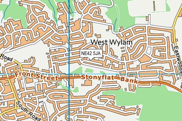 NE42 5JA map - OS VectorMap District (Ordnance Survey) NE42 5JA map - OS VectorMap District (Ordnance Survey)