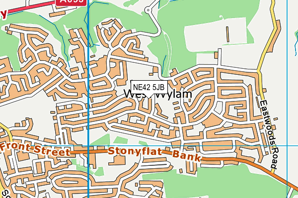 NE42 5JB map - OS VectorMap District (Ordnance Survey) NE42 5JB map - OS VectorMap District (Ordnance Survey)