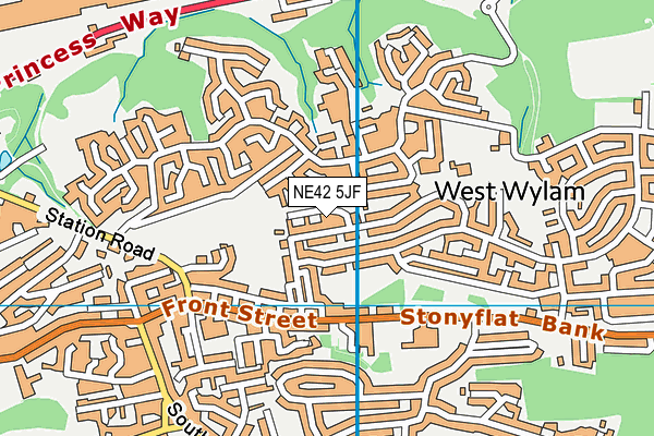 NE42 5JF map - OS VectorMap District (Ordnance Survey) NE42 5JF map - OS VectorMap District (Ordnance Survey)