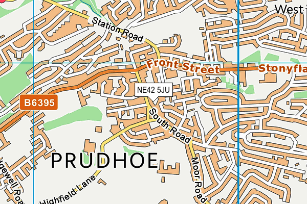 NE42 5JU map - OS VectorMap District (Ordnance Survey) NE42 5JU map - OS VectorMap District (Ordnance Survey)