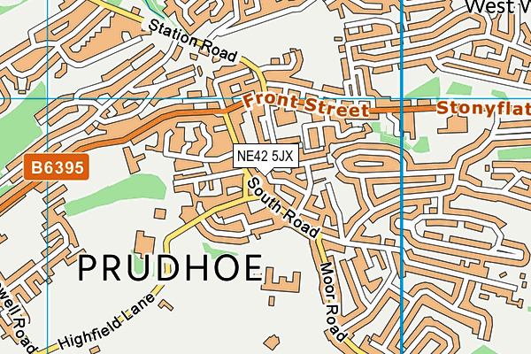 NE42 5JX map - OS VectorMap District (Ordnance Survey) NE42 5JX map - OS VectorMap District (Ordnance Survey)