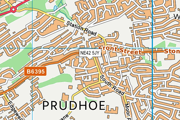 NE42 5JY map - OS VectorMap District (Ordnance Survey) NE42 5JY map - OS VectorMap District (Ordnance Survey)
