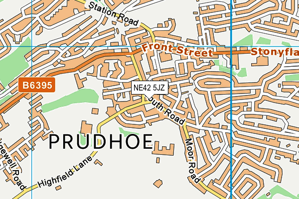 NE42 5JZ map - OS VectorMap District (Ordnance Survey)