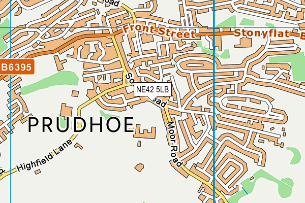 NE42 5LB map - OS VectorMap District (Ordnance Survey) NE42 5LB map - OS VectorMap District (Ordnance Survey)