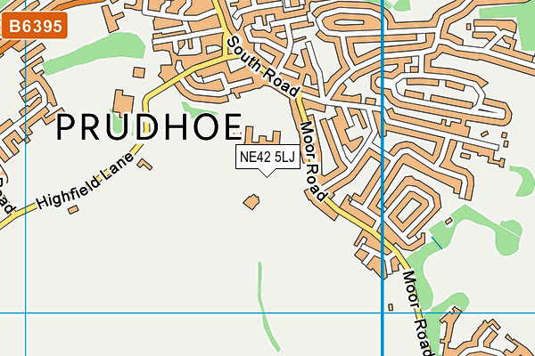 NE42 5LJ map - OS VectorMap District (Ordnance Survey) NE42 5LJ map - OS VectorMap District (Ordnance Survey)