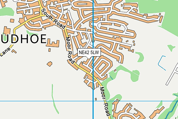 NE42 5LW map - OS VectorMap District (Ordnance Survey) NE42 5LW map - OS VectorMap District (Ordnance Survey)
